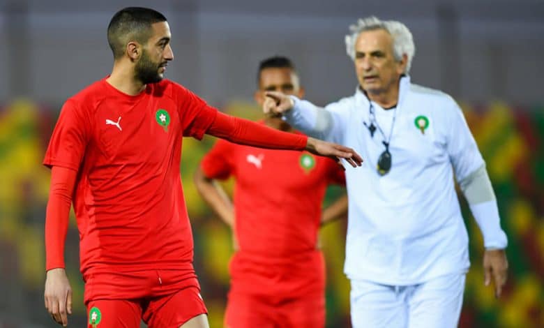 أخبار سارة لوحيد حليلوزيتش والمنتخب المغربي قبل كأس العالم بقطر