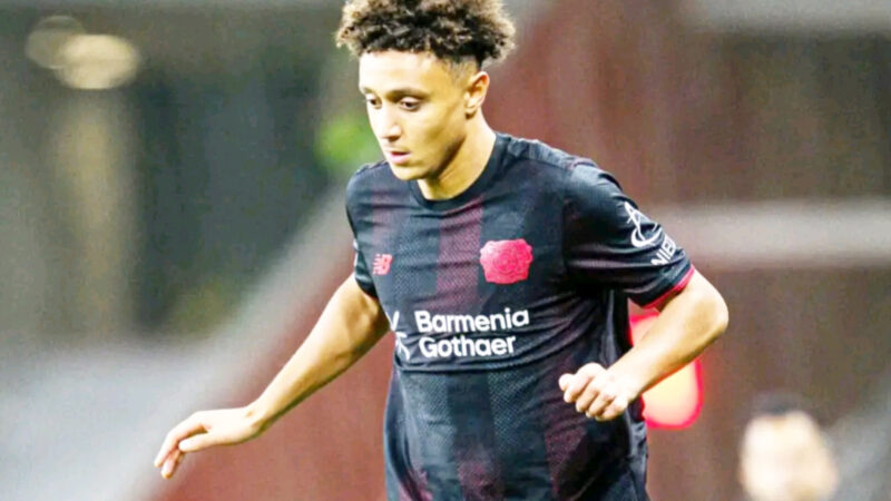 إلياس بن الصغير إلياس بن الصغير خارج باير ليفركوزن الألماني