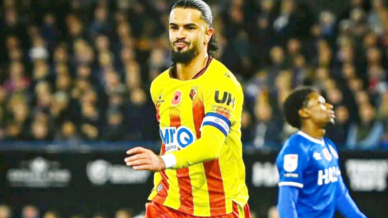 عمران لوزا يضع وليد الركراكي في ورطة كبيرة قبل كأس إفريقيا