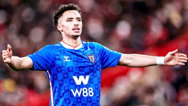 سندرلاند شمس الدين الطالبي… جناح سندرلاند الذي يفرض نفسه بقوة