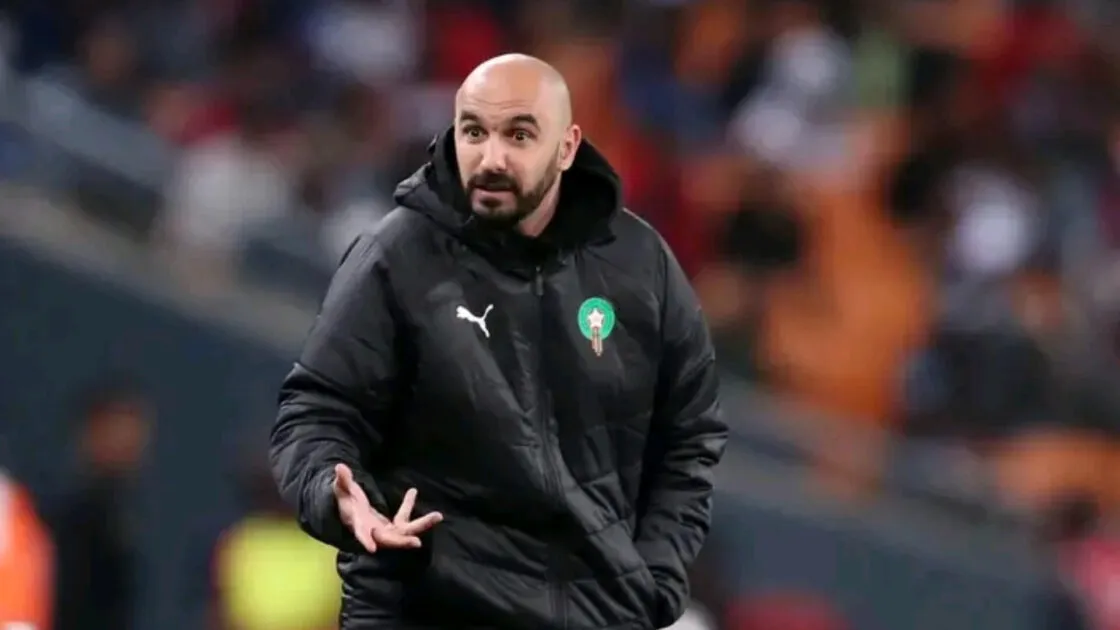 وليد الركراكي أبرز المرشحين لقيادة الاتحاد السعودي