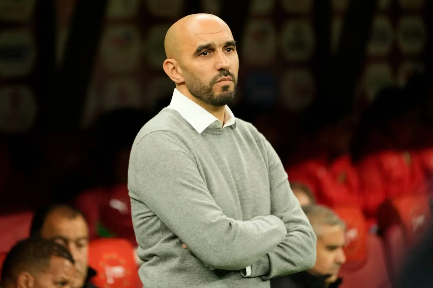 الركراكي ومنتخب قطر.. مصادر خاصة تكشف حقيقة المفاوضات وموقف المدرب